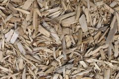 biomass boilers Pantygasseg