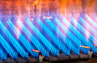Pantygasseg gas fired boilers